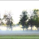 자작나무호텔 이미지