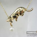 탐나는 고양이 이미지