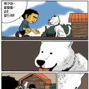 명견 이미지