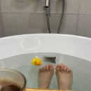 단오풍정 이미지