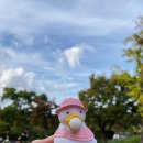 오후두시의오리씨