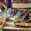 서귀포오일시장-1 이미지