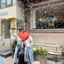 신사역 가로수길 분위기 좋은 와인바 에이넷(aaaa) 내돈내산 솔직후기 (메뉴추천)