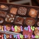 마들렌 이미지
