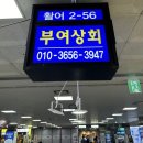 부여상회 이미지