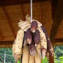 엄마품마을 이미지