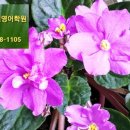 옥길버들초등학교5 이미지