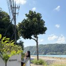 풀잎하우스 | 오키나와 북촌 가성비 숙소 추천, 마니니하우스 내돈내산 웰니스 여행