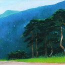 소나무를 품다 이미지