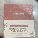바디튠스파김포