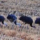 정산영농조합법인 이미지