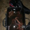 동해-단속-32 이미지