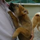 (주)새롬환경 이미지