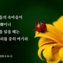 어묵천지 이미지