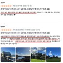 주식회사 로컬앤컴퍼니 | 호주 퍼스 12월 1월 여행 코스 추천 - 로트네스트섬 쿼카 / 피나클스 사막 일일투어 / 마가렛 리버