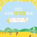 [올마이스] 2023 서귀포유채꽃축제 이미지