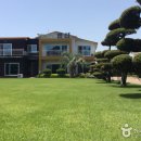 향림원 펜션 이미지