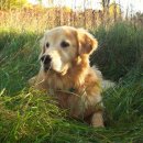 블레스유 이미지