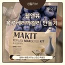 웰앤뷰 | 웰앤뷰 과일막걸리 키트ㅣ집에서 만드는 무설탕 과일막걸리 블루베리 막걸리