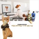 또하나의 가족 이미지