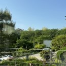 디저트39의왕퍼스트힐점 | [의왕 백운호수 한정식 맛집] '뜰안채2 한정식' 부모...다녀온 봄 정식 코스 후기! 한정식 코스,야외...