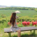 부농목장 이미지