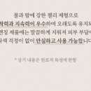 립헤어 이미지