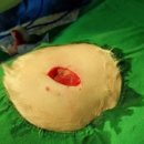 래플즈동물병원 이미지