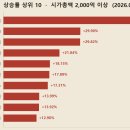 인텍코리아 | 2026-08-18 상승률 상위 종목 (시가총액 2,000억 이상)