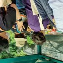 스마트폰 사진 / 동영상 편집 이미지