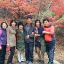 대둔산장 이미지