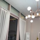 티나네강아지미용실 이미지