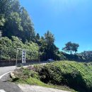 막지리184 이미지