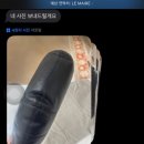 포츈갤러리아인