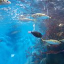 조아수산 이미지