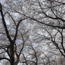 월명1길 이미지