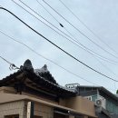 이탈리아 레스토랑, 그로서리샵 <b>오드</b>다이너