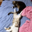 자여목욕탕 이미지