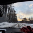 국도7호선 졸음쉼터 화장실 | 다이이치 호텔 모르온천 대욕장 당일치기온천 노천탕 술무제한 석식뷔페 조식뷔페 후기[오비히로여행7]