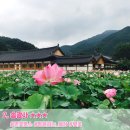 완주서점 이미지