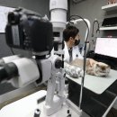 참사랑동물병원 이미지