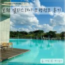 보령 엘리스테이 픽스테이 서해 대천 풀빌라 2024 모행카페 정모 풀파티 후기