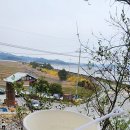 백길경로당 | 증도 여행 가볼만 한 곳(엘도라도 리조트, 신안갯벌박물관, 태평염전, 짱뚱어 다리, 화도)
