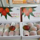 강정올레농수산