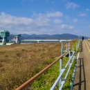 시골식백반 이미지