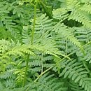 운진농장 이미지