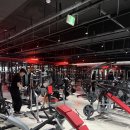 프라임헬스타운 | 용원 헬스장 추천! 하이엔드 머신 천국 에어짐 용원본점 헬스&amp;PT 솔직 후기.