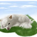 봄강아지 이미지