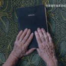 의료법인 실로암 의료재단 이미지