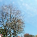 한보가든 이미지